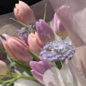 Meet your Posher, Jasmine